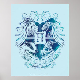 Póster Harry Potter   Aguamenti Escudo de HOGWARTS™