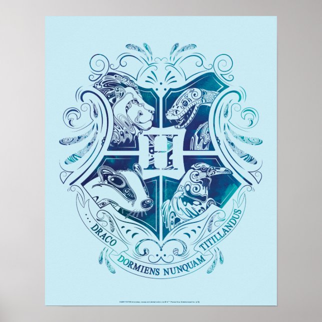 Póster Harry Potter | Aguamenti Escudo de HOGWARTS™ (Frente)