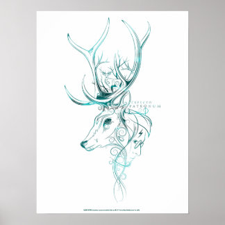 Póster Harry Potter | Aguamenti EXPECTO PATRONUM™ Ciervo