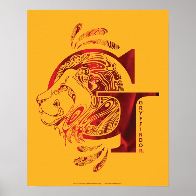 Póster Harry Potter | Aguamenti GRYFFINDOR™ Gráfico (Frente)