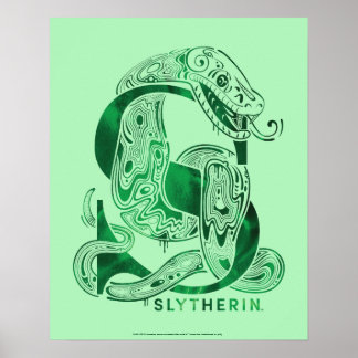 Póster Harry Potter | Aguamenti SLYTHERIN™ Graphic