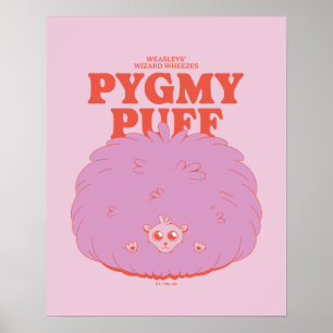 Póster HARRY POTTER™ Asistente de Weasley Pygmy Puff