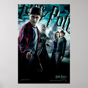 Póster Harry Potter con Dumbledore Ron y Hermione 1