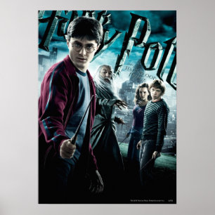 Póster Harry Potter con Dumbledore Ron y Hermione 1