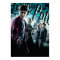 Harry Potter con Dumbledore Ron y Hermione 1