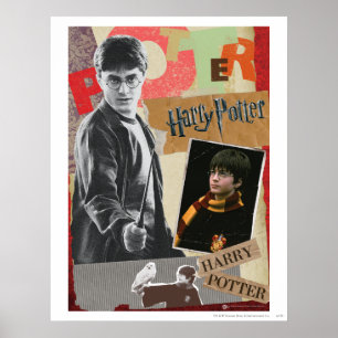Póster Harry Potter entonces y ahora
