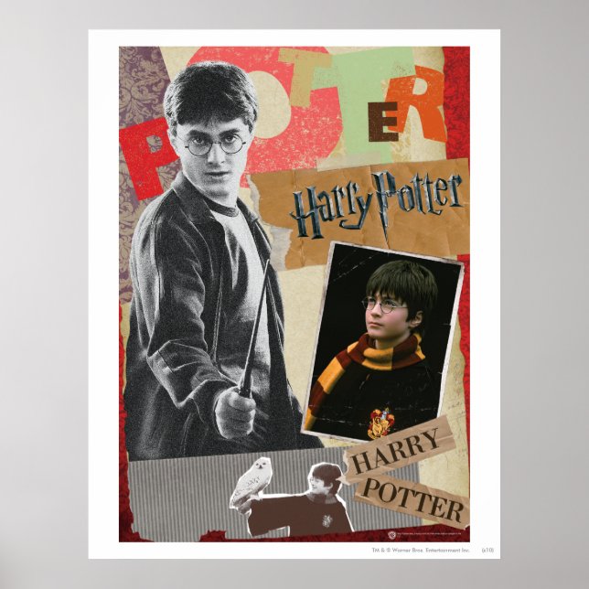 Póster Harry Potter entonces y ahora (Frente)