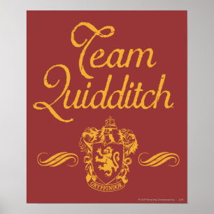 Póster Harry Potter   Equipo QUIDDITCH™