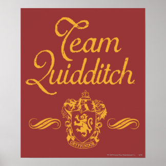 Póster Harry Potter | Equipo QUIDDITCH™