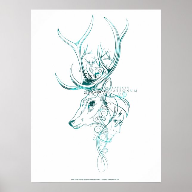 Póster Harry Potter | Estadio Aguamenti EXPECTO PATRONUM™ (Frente)