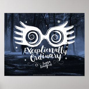 Póster Harry Potter   Excepcionalmente ordinaria