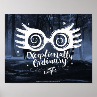 Póster Harry Potter | Excepcionalmente ordinario