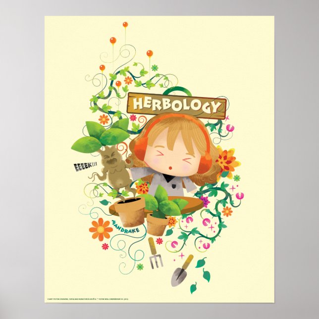 Póster Harry Potter | Gráfico Hermione Herbology Class (Frente)
