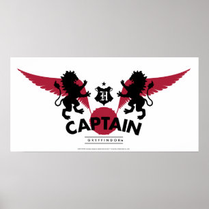 Póster Harry Potter   GRYFFINDOR™ House Quidditch Captain