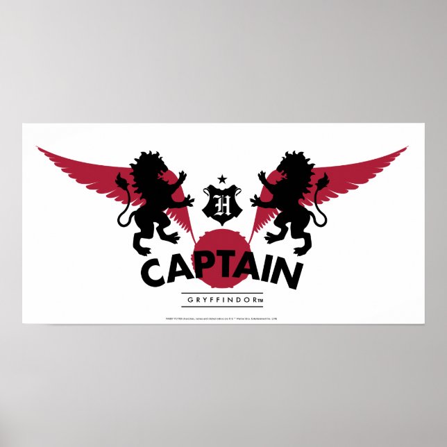 Póster Harry Potter | GRYFFINDOR™ House Quidditch Captain (Frente)