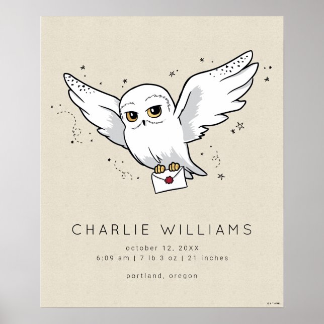 Póster Harry Potter | Hedwig Baby Birth Stats (Frente)