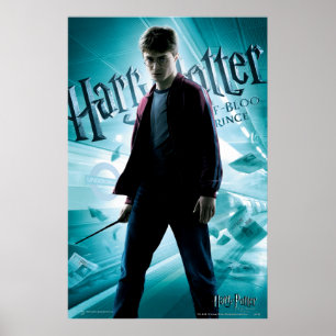 Póster Harry Potter HPE6 2