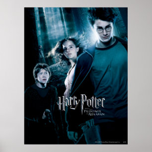 Póster Harry Potter Ron Hermione En el Bosque