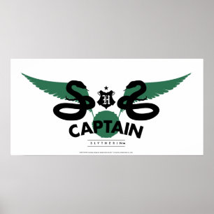Póster Harry Potter   SLYTHERIN™ House Quidditch Captain