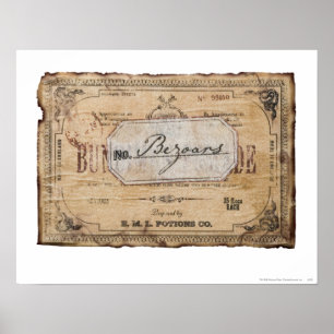 Póster Harry Potter Spell   Bezoares