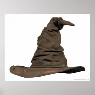 Póster Harry Potter Spell   Gorra de ordenación