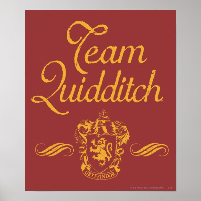 Póster Harry Potter | Team QUIDDITCH™ (Frente)