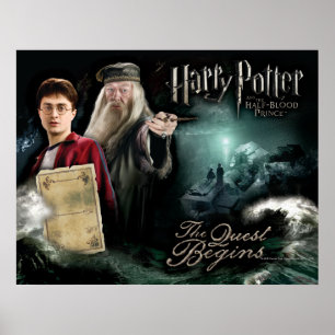 Póster Harry Potter y Dumbledore