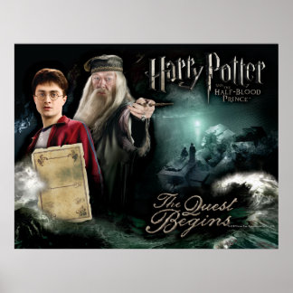 Póster Harry Potter y Dumbledore