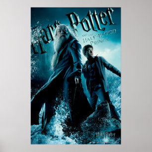 Póster Harry Potter y Dumbledore en rocas 1