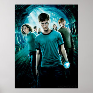 Póster HARRY POTTER Y LA ORDEN DEL FÉNIX™ Blue