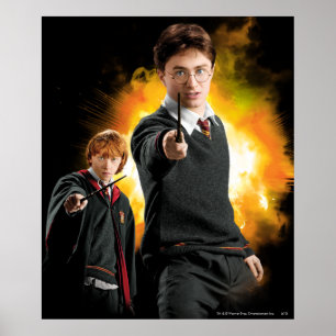 Póster Harry Potter y Ron Weasley