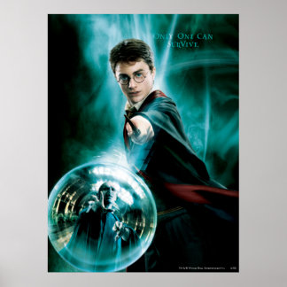 Póster Harry Potter y Voldemort solo uno puede sobrevivir