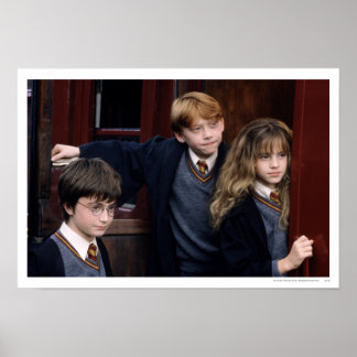 Póster Harry, Ron y Hermione