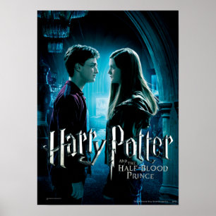 Póster Harry y Ginny 1