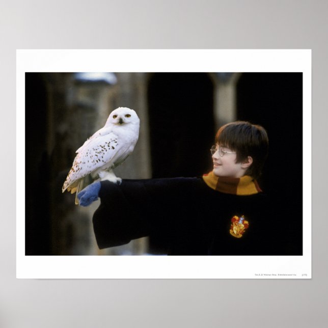 Póster Harry y Hedwig 3 (Frente)