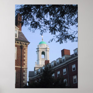 Póster Harvard en primavera