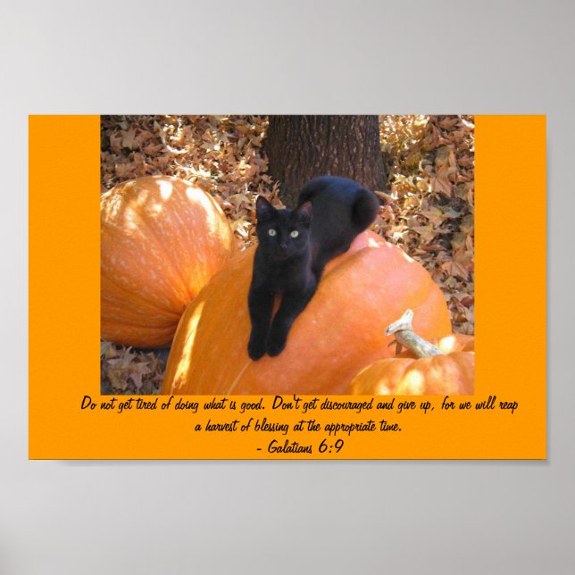 Póster Harvest Kitten (Frente)