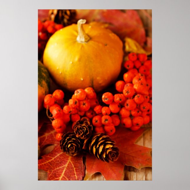 Póster Harvested pumpkins with fall leaves 2 (Frente)