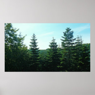 Póster Hasta el ojo puede ver