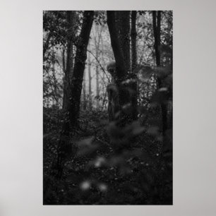 Póster Haunted Forest – Mysterious Shadow in the Woods
