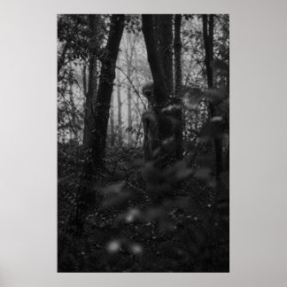 Póster Haunted Forest – Mysterious Shadow in the Woods