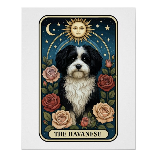 Póster Havanés (Anverso)