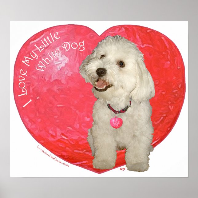 Póster Havanese Día de San Valentín (Frente)