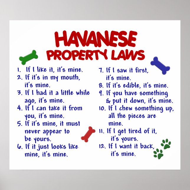 PÓSTER HAVANESE PL2 (Frente)