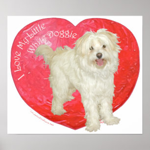 Póster Havanese / Westie Mezcla Día de San Valentín