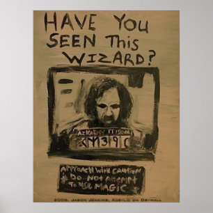 PÓSTER HAVE YOU SEEN THIS WIZARD
