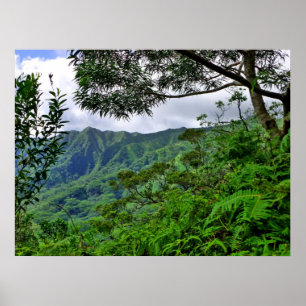 Póster Hawai tropical