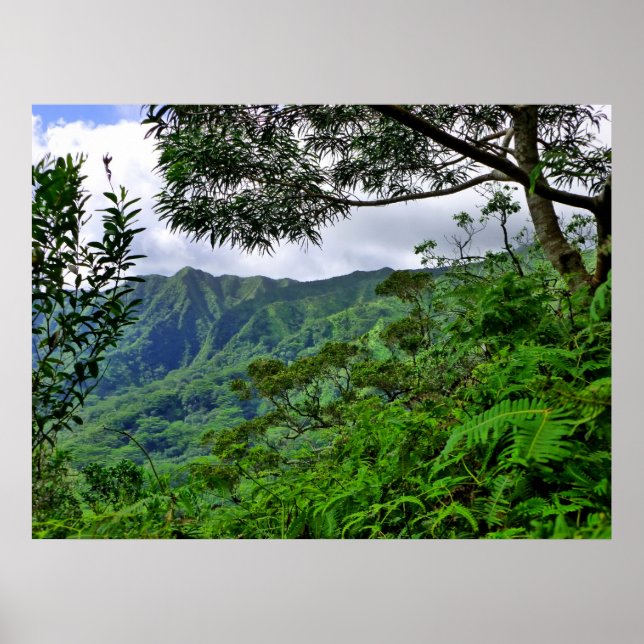 Póster Hawai tropical (Frente)