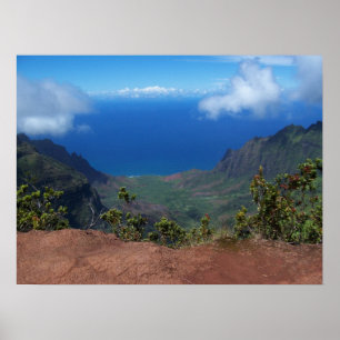 Póster Hawaii