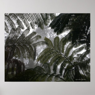 Póster Hawaii, Gran Isla, Hawai Volcanes Nacional